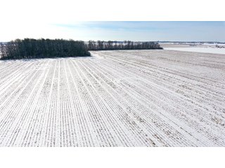 Property photo 33 - OHIO REAL ESTATE AUCTION - 202+/- ACRES IN 3 TRACTS IN VAN WERT COUNTY, OHIO
